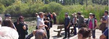 Urban and Arboriculture Forestry Research in Europe— What’s New?