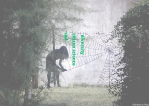 June Urban Forestry Webinars