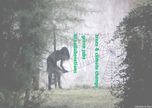 July Urban Forest Webinar Schedule