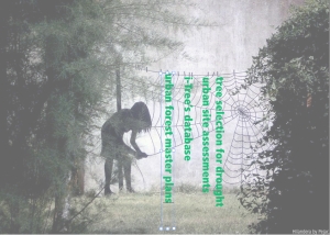 November 2017 Urban Forestry Webinar Schedule