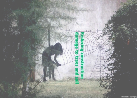 December Urban Forestry Webinar Offerings