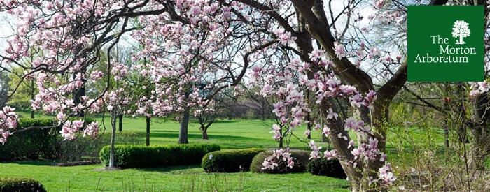 The Practical Science of Planting Trees (Seminar, Telford UK, Sep18)