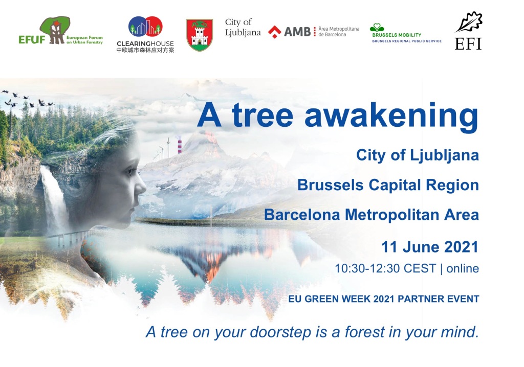 A tree awakening – Call for Action