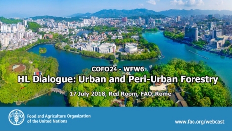 High Level Dialogue on Urban and Peri-urban Forestry at the FAO Committee on Forestry