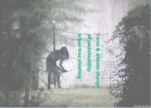 August Urban Forest Webinar Schedule