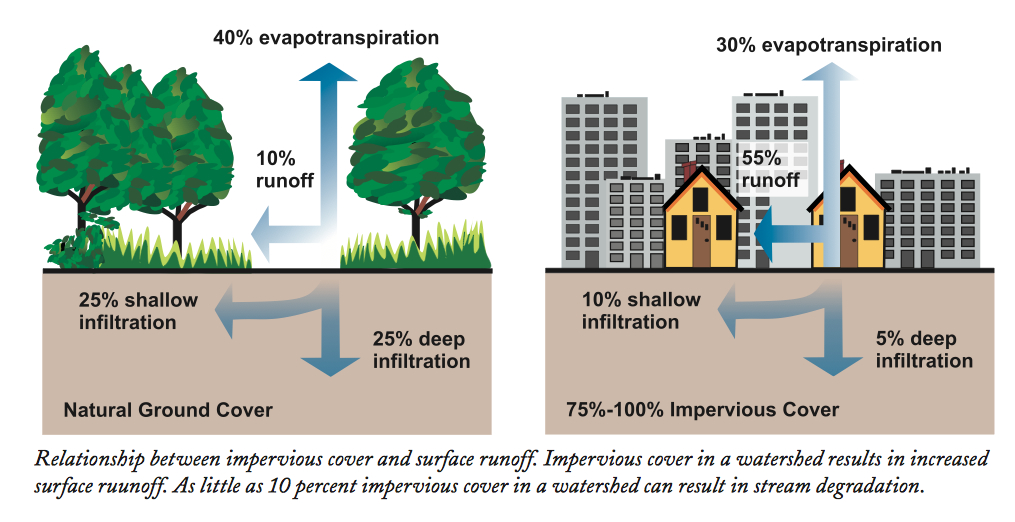 Webinar 9 Feb – Urban Soils in the Age of Green Infrastructure Stormwater Management