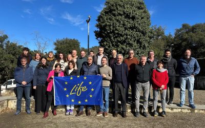 LIFE Metroforest – improving adaptive agroforestry management in metropolitan forests