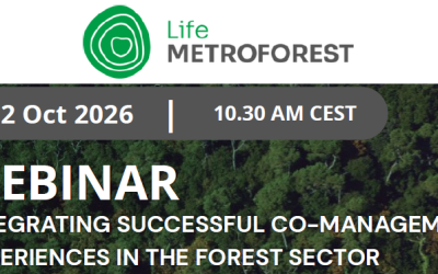 Webinar: Integrating successful co-management in the forest sector