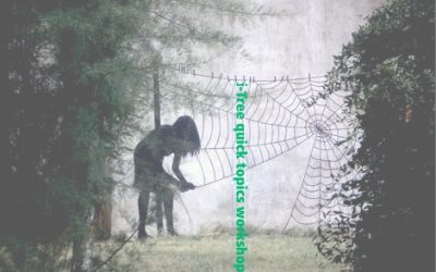 i-Tree March 2019 Workshop:  I-TREE QUICK TOPICS