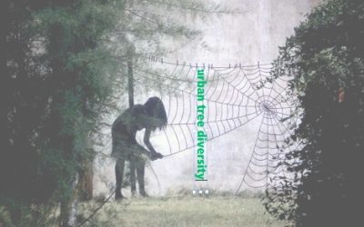 June 2018 Urban Forestry Webinar Announcement