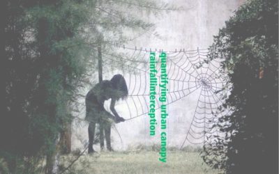 August 2019 Urban Forestry Webinar Schedule