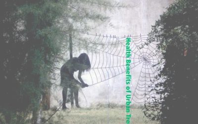 November 2019 UF Webinar Offering