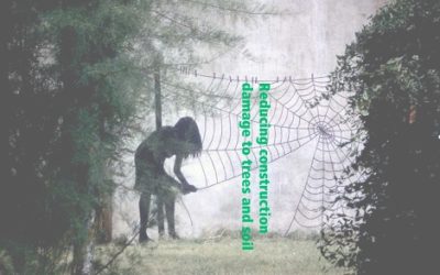 December Urban Forestry Webinar Offerings