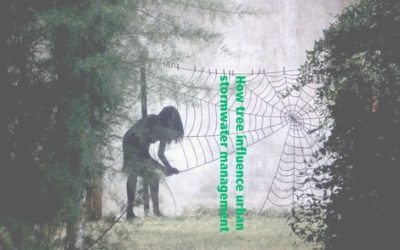 January 2019 Urban Forestry Webinar Offerings