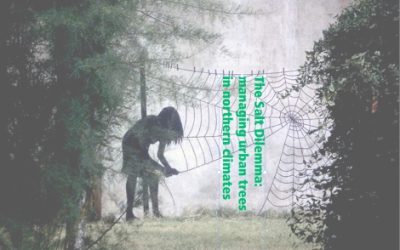 February 2019 UF Webinar Offerings