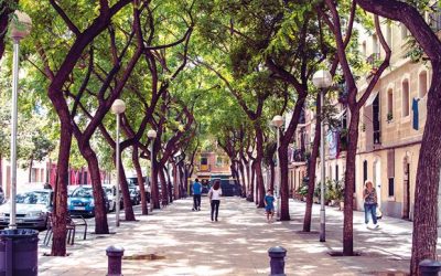 Can closer ties to Europe benefit British trees?