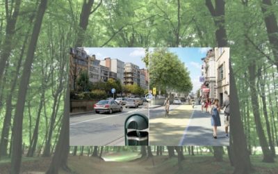 Urban Forests in a European Perspective Workshop Registration Extended