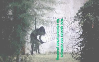 February 2019: Additional UF Webinar Offering