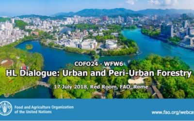 High Level Dialogue on Urban and Peri-urban Forestry at the FAO Committee on Forestry