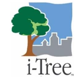 Global i-Tree Science Users Symposium: Discovering the Value of Your Forest