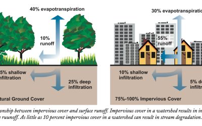 Webinar 9 Feb – Urban Soils in the Age of Green Infrastructure Stormwater Management